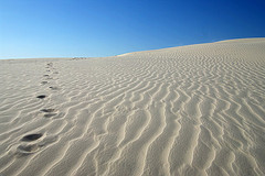 Desert | Source: Guilherme Jofili on Flickr